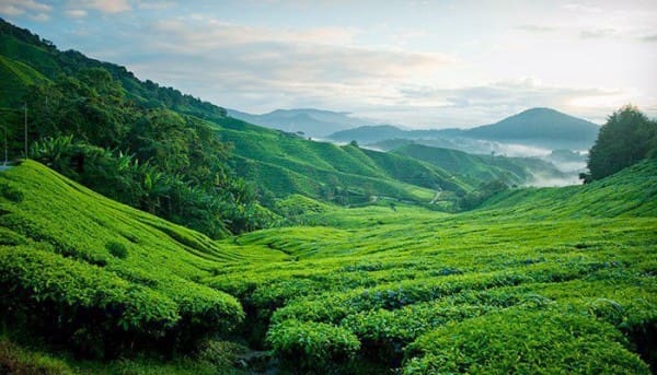 10 Kawasan Tanah Tinggi Terbaik di Malaysia Untuk Percutian Anda ...