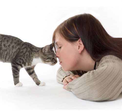 bigstockphoto_woman_with_cat_734854